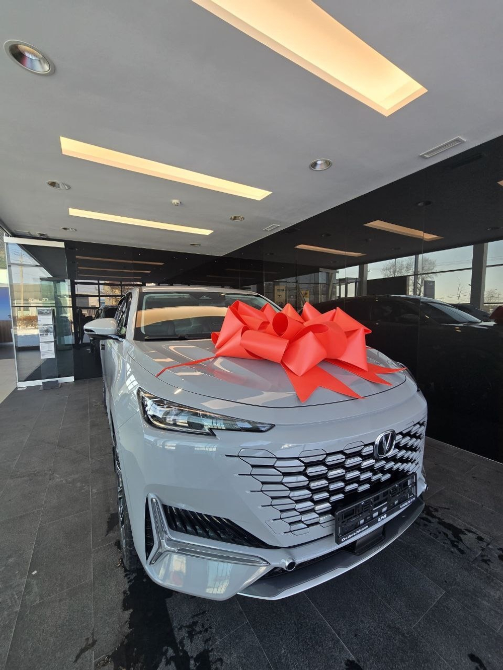 Бант на машину Аренда №2681