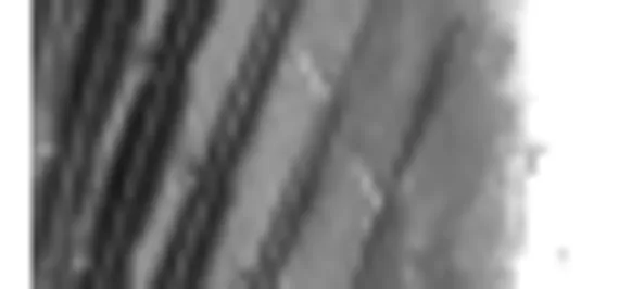 Борфреза Karnasch форма C (цилиндр со сферическим концом), твердосплавная