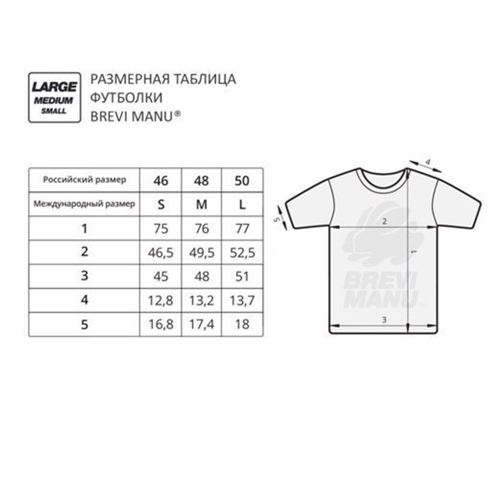 Футболка Lapse From Virtue Черная