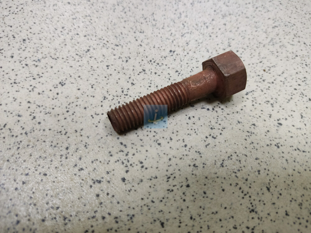 Болт 240Н-1008504