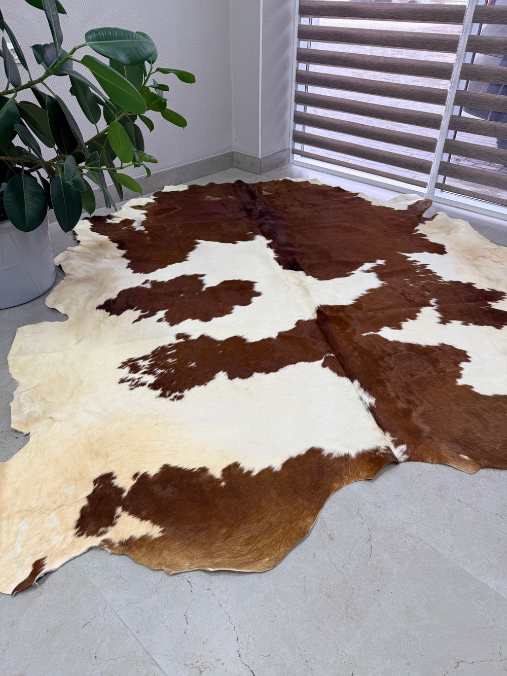 Коровья шкура на пол натуральная. 200 х 190 см