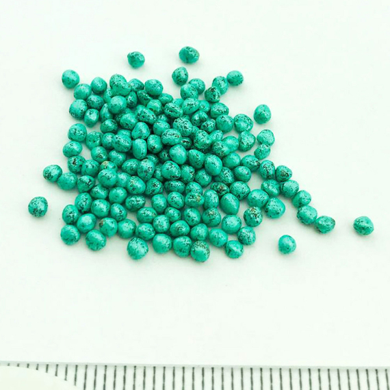 Етма F1 семена капусты белокочанной (Rijk Zwaan / ALEXAGRO) семена – фото 8