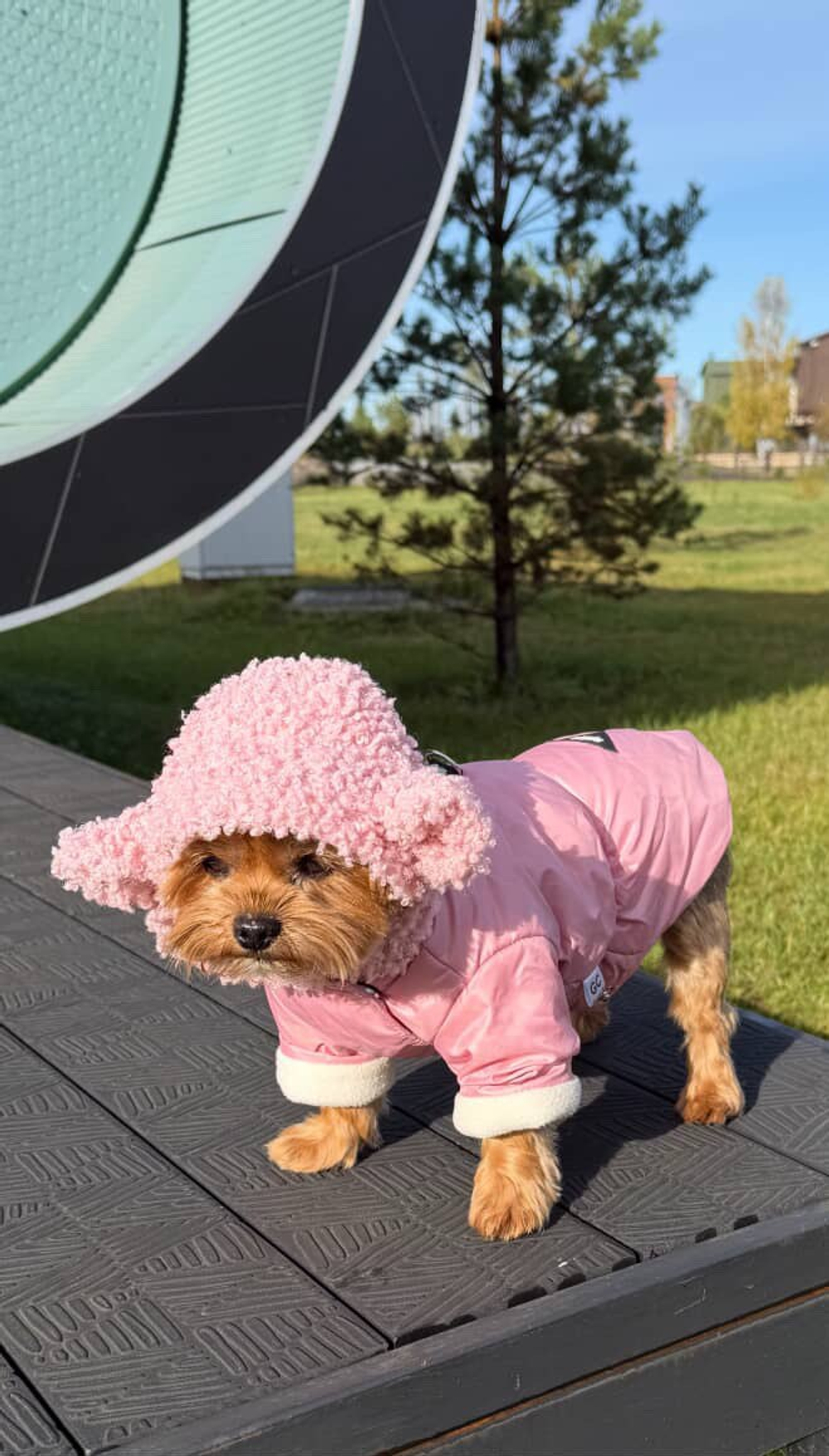 Куртка для собак (девочка)