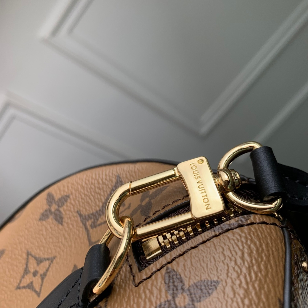 Louis Vuitton Speedy Trunk 25
