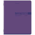 Тетради предметные, КОМПЛЕКТ 12 ПРЕДМЕТОВ, 48 л., обложка картон, BRAUBERG "VIBE", 405163