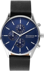 Мужские наручные часы Skagen SKW6606
