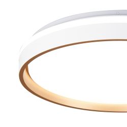 9026 Потолочный светильник VERONA