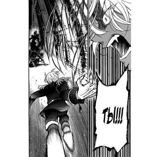 Манга Мемуары Ванитаса. Том 2