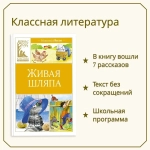 Живая шляпа. Носов Н. Внеклассное чтение