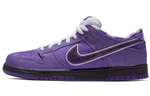 Кроссовки Concepts X Nike Dunk Sb Pro