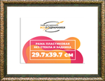 Рама 29,7x39,7 для картин и фотографий RP0323020-01(80011)