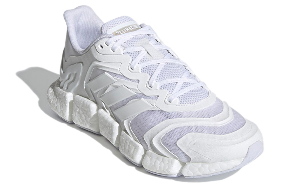 Кроссовки Adidas Climacool Vento Tpu