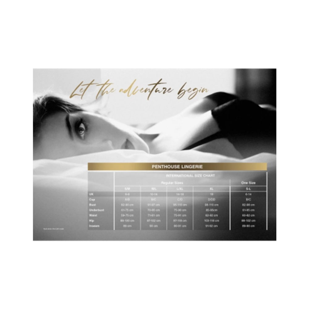 Боди "Perfect lover" черный от Penthouse (L/XL)