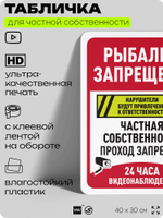 Табличка для частной территории "Рыбалка запрещена, частная собственность", на дом, для участка, организаций, предупреждающая, 40х30 см, Silver Plane x Айдентика Технолоджи
