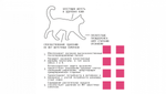 AjO Cat Skin & Hair Cухой низкозерновой корм для взрослых кошек для здоровой кожи и красивой шерсти с лососем и индейкой, 1,5 кг