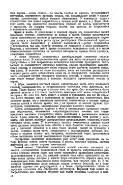 Палеонтология позвоночных | А.Ш. Ромер