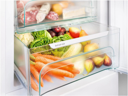 Встраиваемый холодильник Liebherr ICBNSe 5123