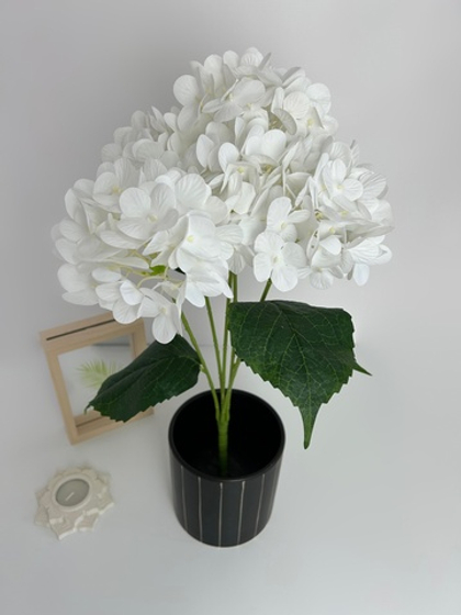 Гортензия 5 голов / Арт 2087