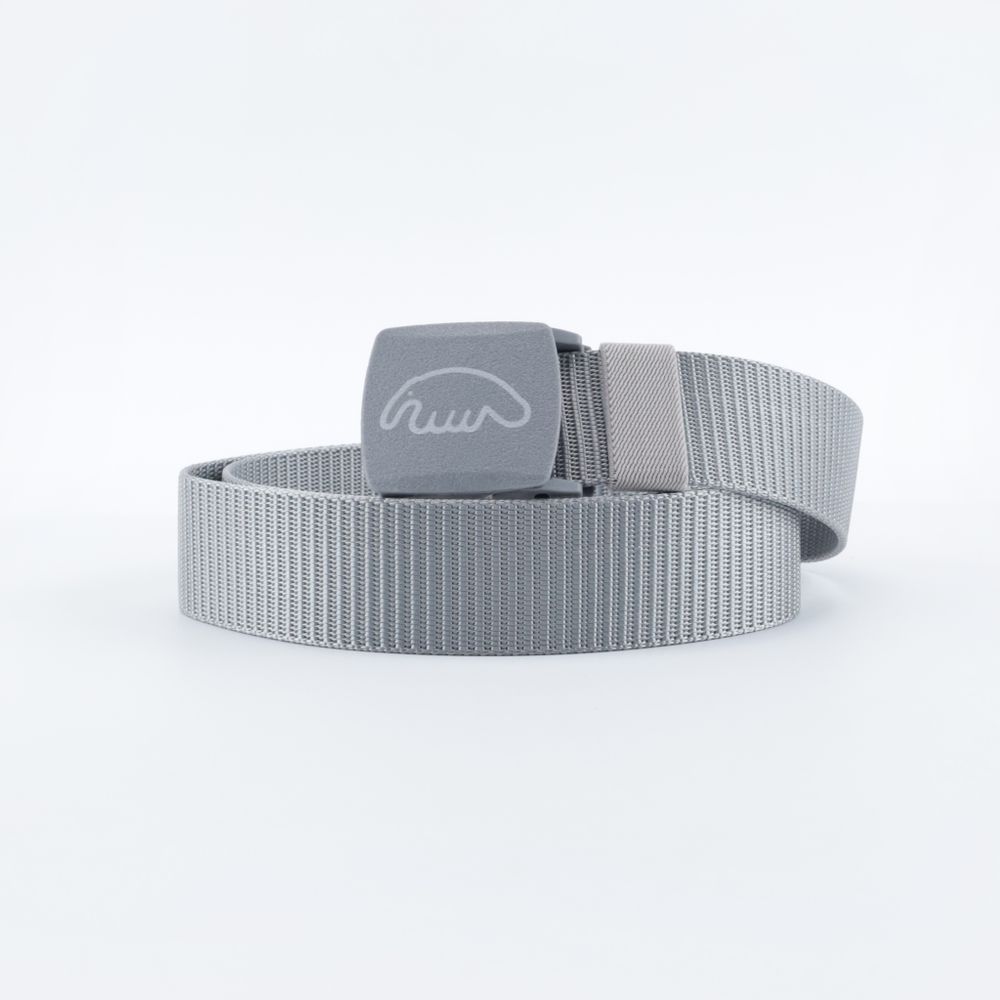 Ремень Anteater Belt PLST (silver)