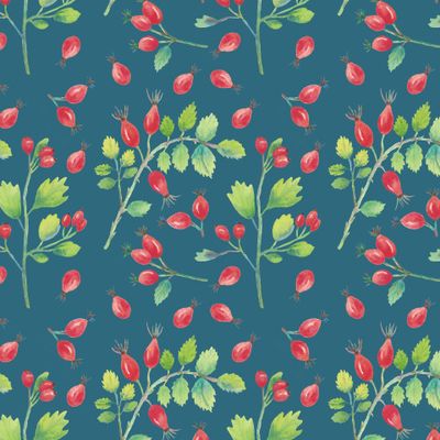 Шиповник и боярышник