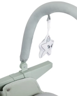 Стульчик для кормления Сarrello Lotus