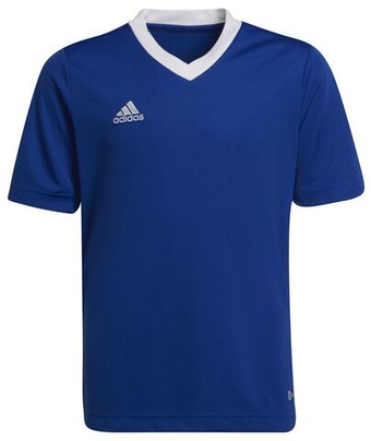 Футболка для мальчика теннисная Adidas Kids Entrada 22 Jersey - небесный