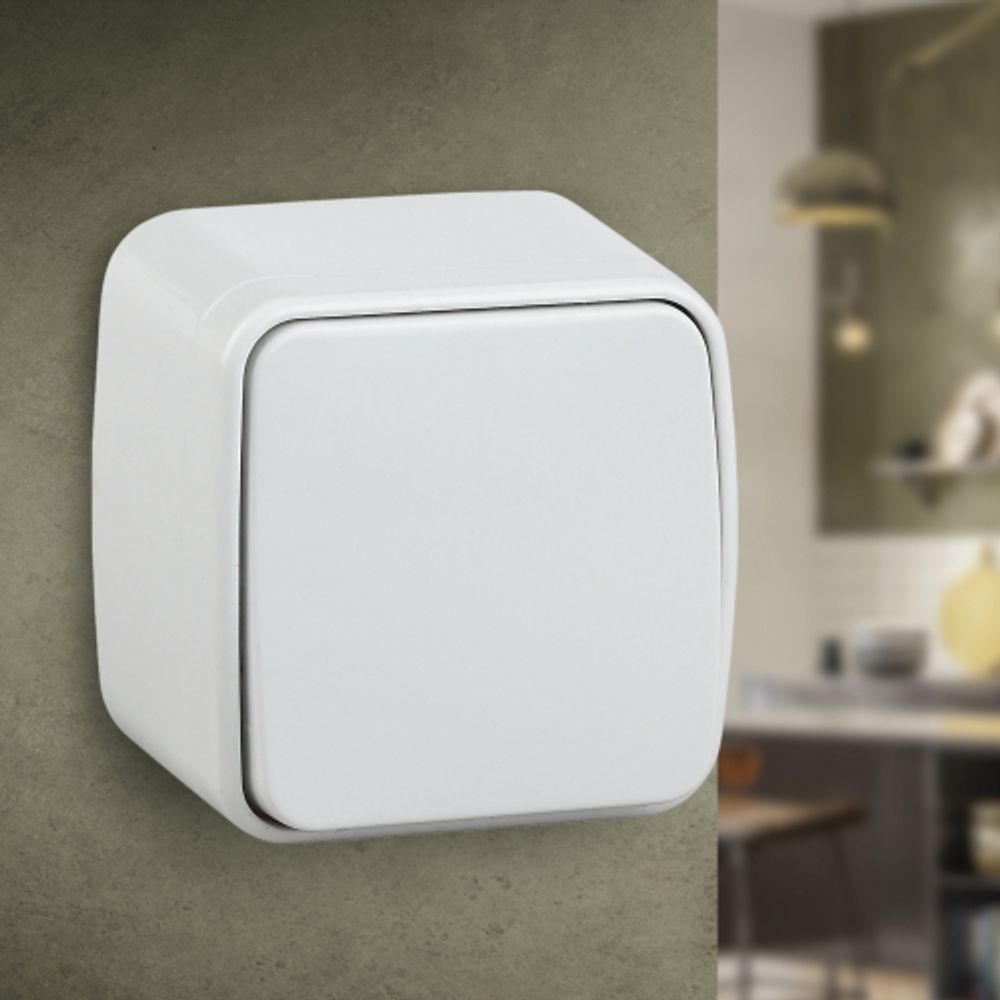 3-103-01 Intro Переключатель, 10А-250В, IP20, ОУ, Polo, белый | Intro