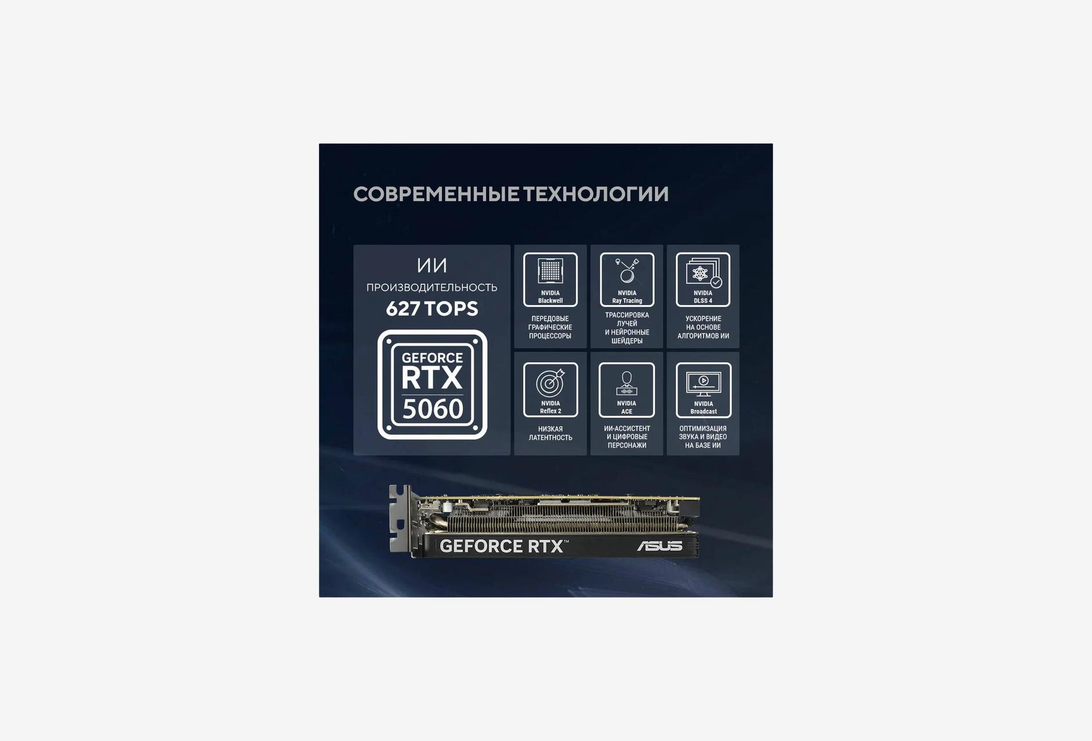 RTX5060-O8G-LP-BRK_1326226100639