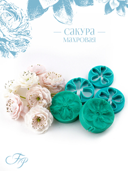 Сакура махровая