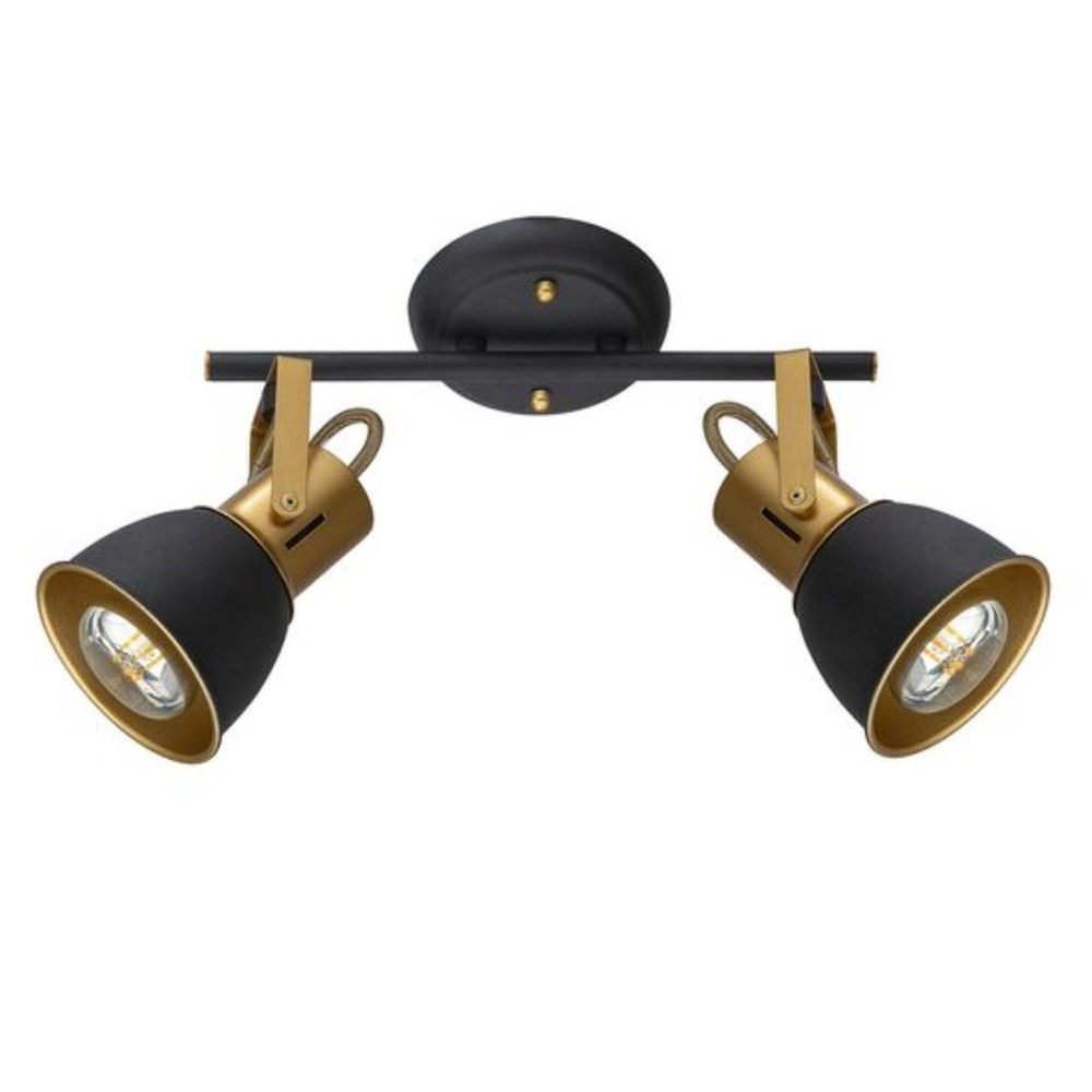 Потолочный светильник Arte Lamp JOVI A1677PL-2GO