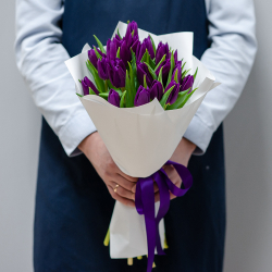 Фиолетовые тюльпаны
