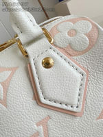 Louis Vuitton Speedy 20