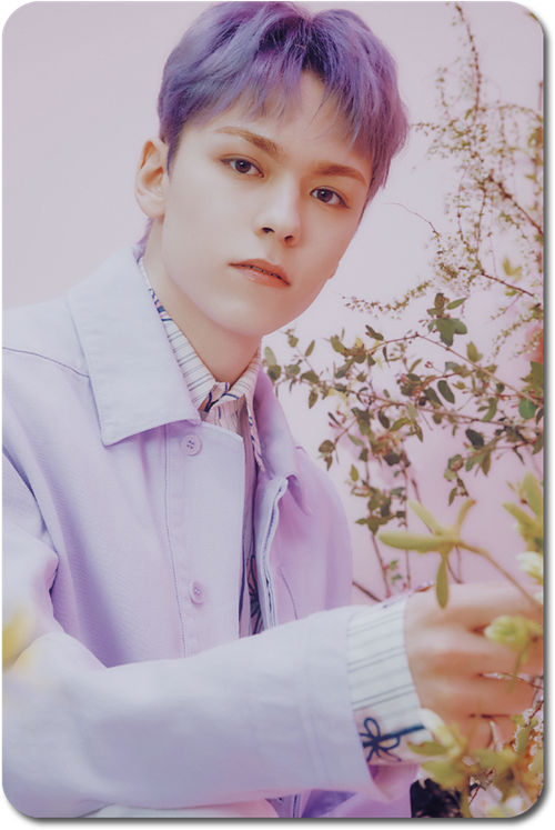 Карта / SEVENTEEN #009