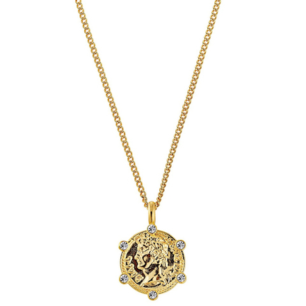 Колье Dyrberg Kern SIENA SG CRYSTAL 440117