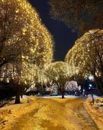 уличная гирлянда для деревьев - занавес