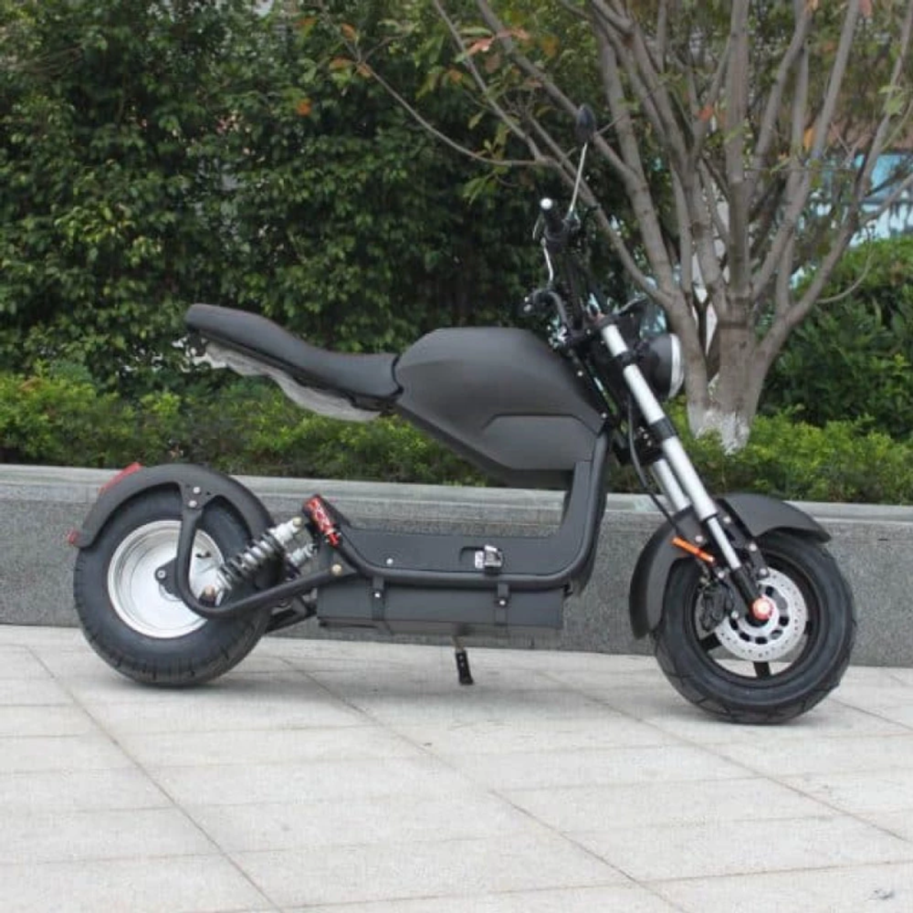 Электроскутер CityCoco Skyboard BR-MOTO 2000W 20AH/60V