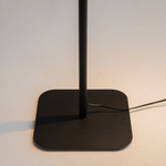 Напольный светильник (торшер) Maytoni Z001FL-L3W-1B