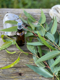 Гидролат эвкалипта лимонного