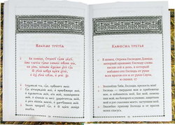 psaltir-uchebnaya-na-c-sl-yazyke-s-parallelnym-perevodom-na-russkiy-yazyk-p-yungerova (1)