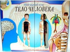Мой первый атлас. Тело человека
