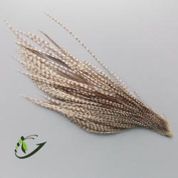 Срез скальпа петуха Whiting (мелкие перья)