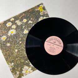 Винтажная виниловая пластинка LP Голоса Весны 2 (СССР 1978) Озерные Лягушки, Пчелы На Цветущей Яблоне