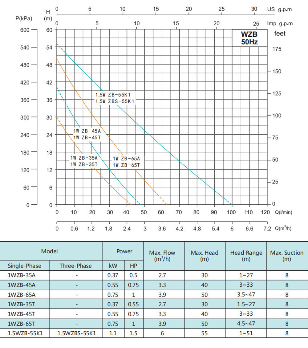 Самовсасывающий поверхностный насос серии WZB, Shimge