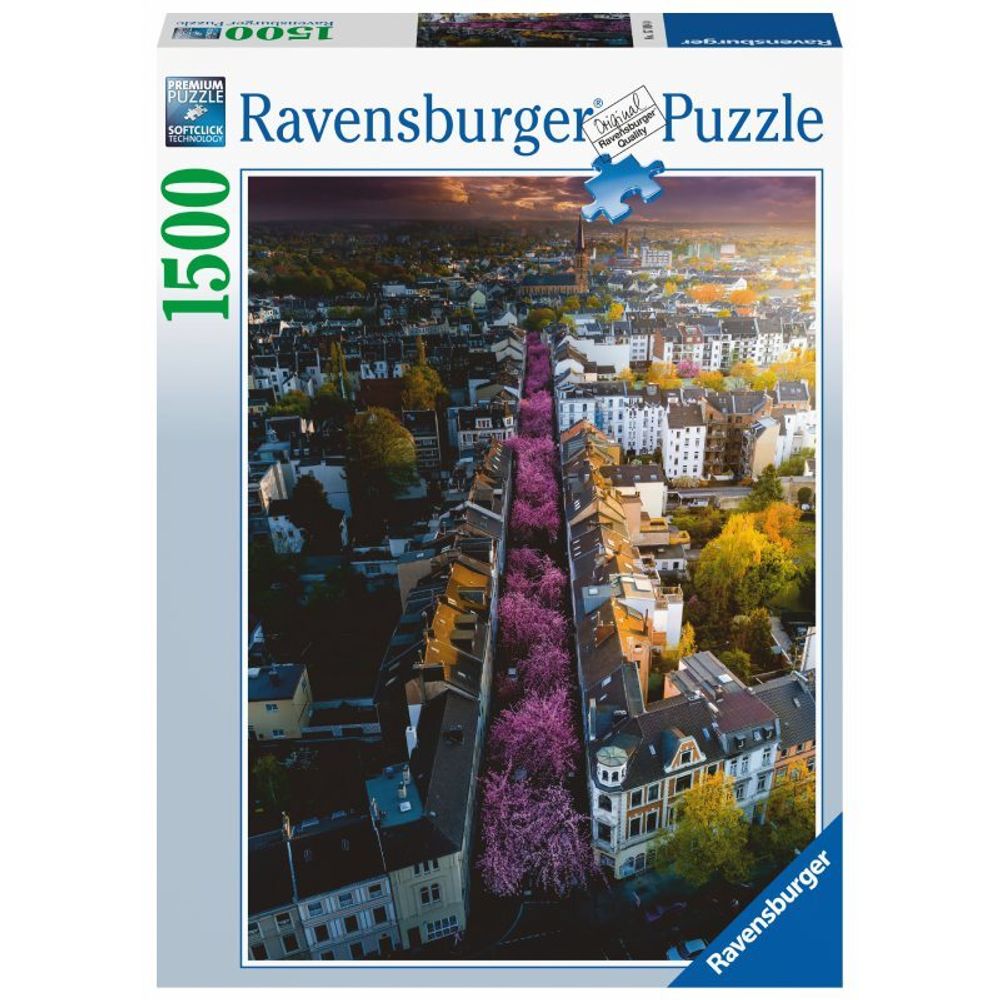 Ravensburger - Пазл Бонн в цвету Германия 1500 деталей. 171040