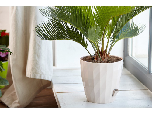 КАШПО СОЛО RUBY 3Л БЕЛЫЙ КШ-6454