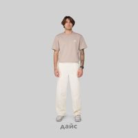  Брюки мужские Dickies Chase City Pant артикул:DK0A4YSAF901 - купить в магазине Дайс
