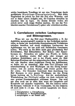 Rätsel Im Obstbau | R. Lorentz