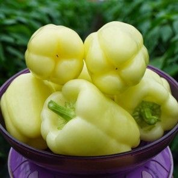 Мадонна F1 семена перца сладкого (Clause / Клос) – фото 2