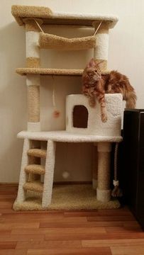 Игровой комплекс для кошки И-8