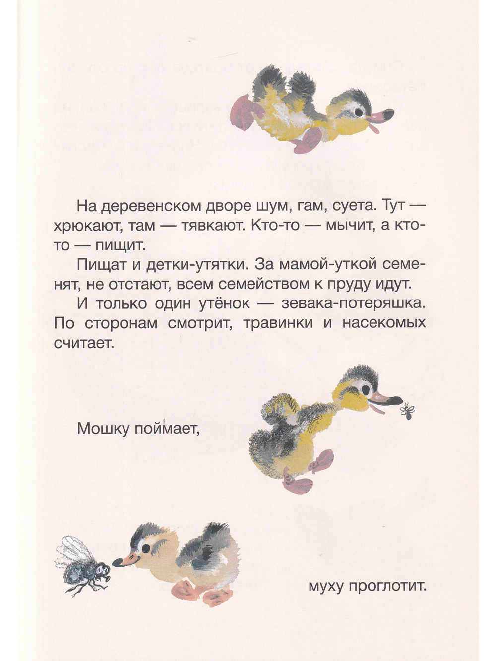 Когда утёнок вырастет?